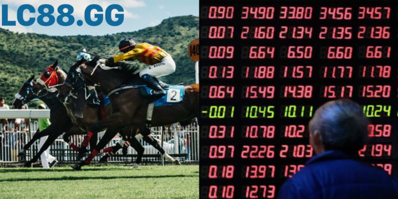 Đọc hiểu bảng thông tin (form) là chìa khóa đặt cược đua ngựa.