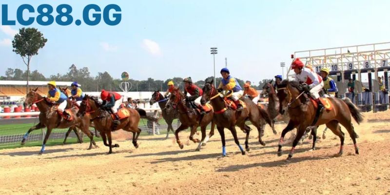 Quản lý vốn là chiến lược sống còn trong đặt cược đua ngựa.